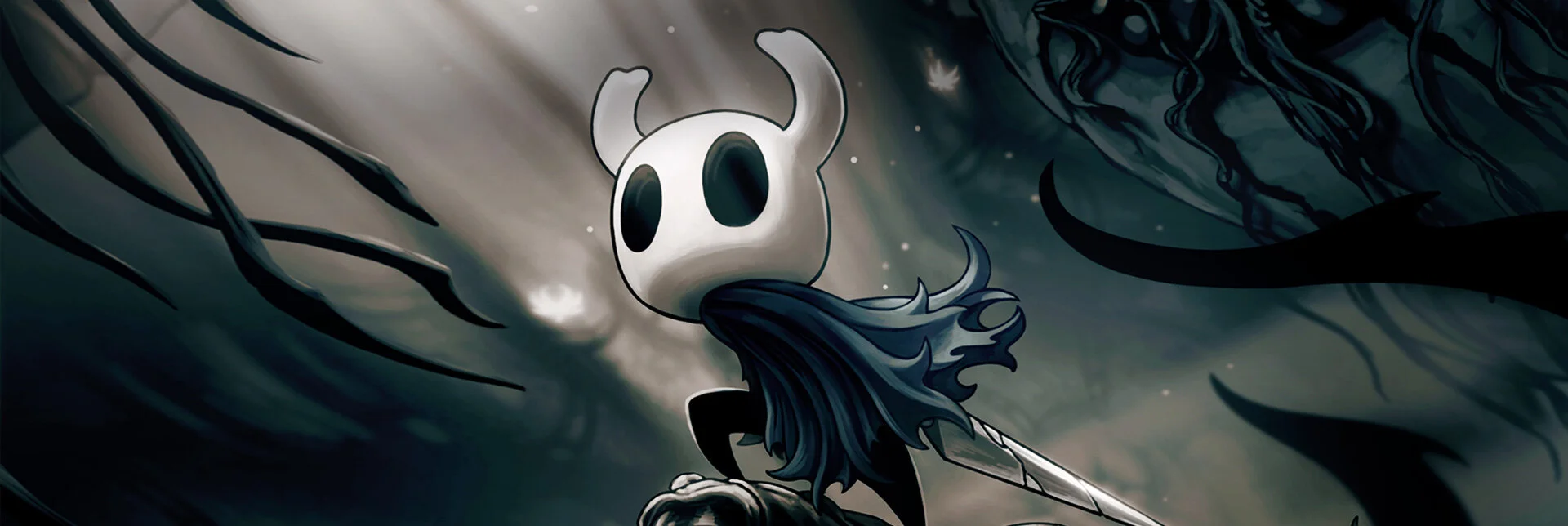 Hollow Knight Game